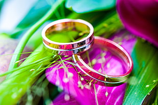 gold-colored wedding bands on pink flower
